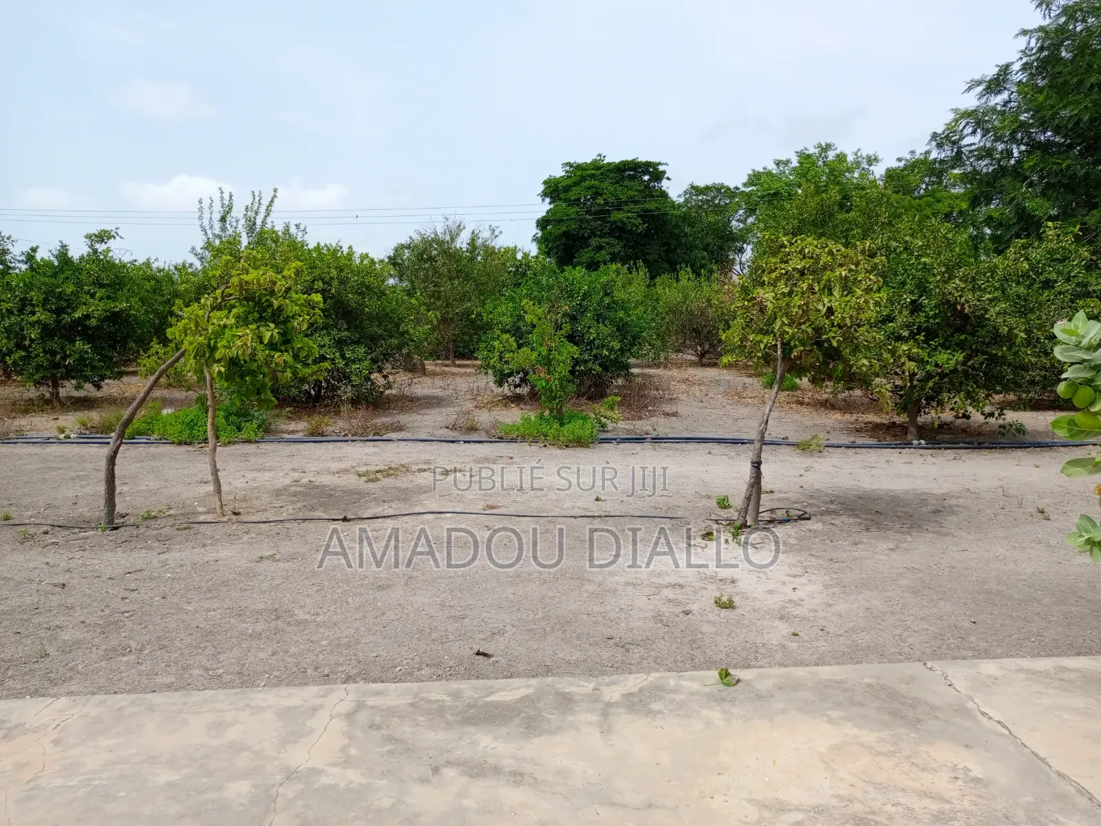 Terrain a Vendre