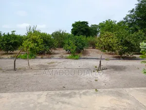 Terrain a Vendre