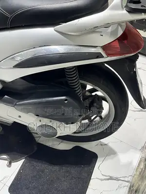 Nouveau Piaggio Trotinette 2015 Gris