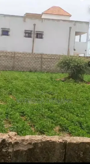 LAND 1000m2 FOR SALE - Saly Campement Guerkho