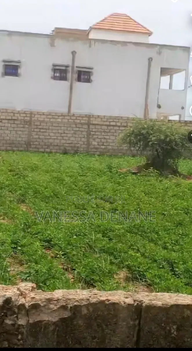 LAND 1000m2 FOR SALE - Saly Campement Guerkho