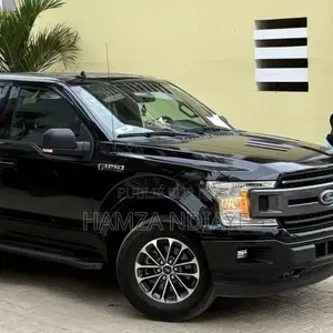 Ford F-150 2019 Noir