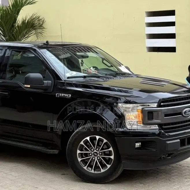 Ford F-150 2019 Noir