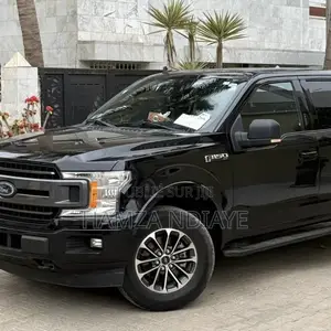 Ford F-150 2019 Noir