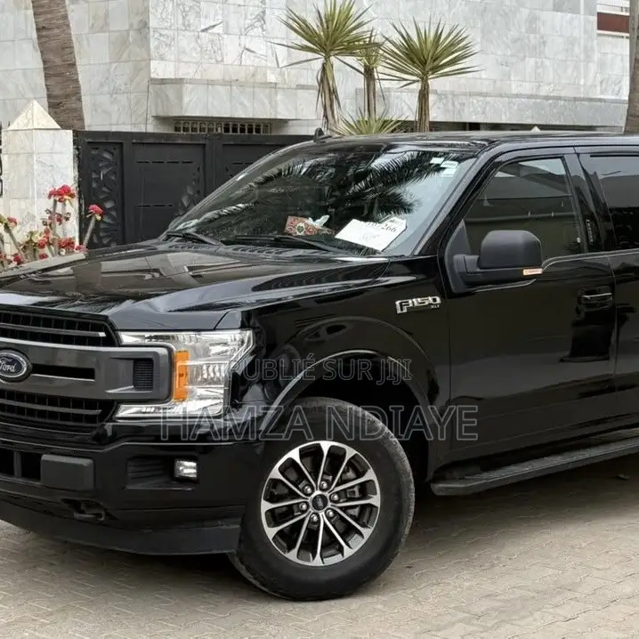 Ford F-150 2019 Noir