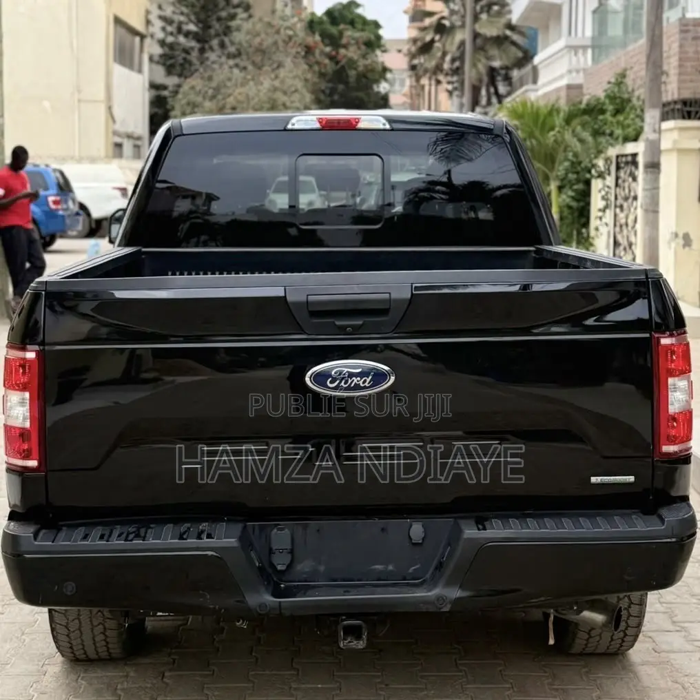 Ford F-150 2019 Noir