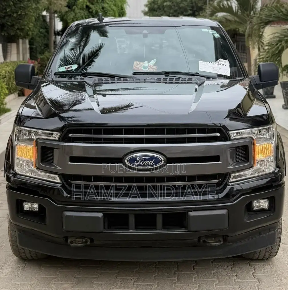 Ford F-150 2019 Noir