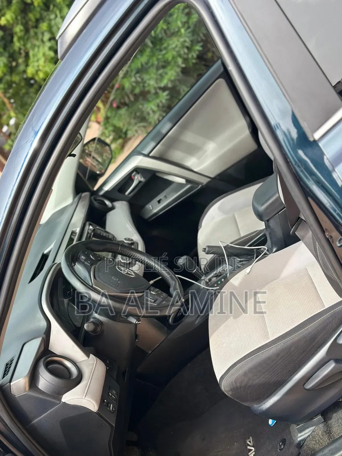 Toyota RAV4 2017 Bleu