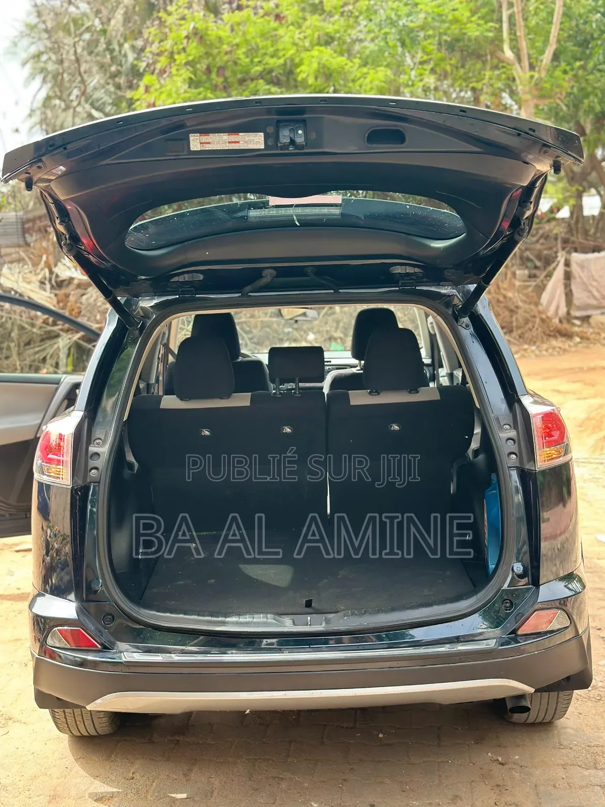 Toyota RAV4 2017 Bleu