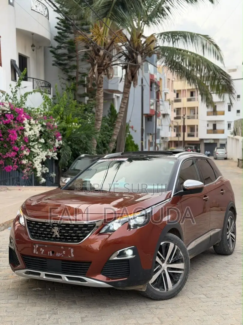 Peugeot 3008 2018 Marron