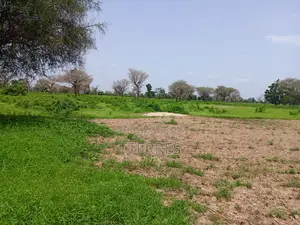 1,03 Hectare De Terre Agricole À 800 M De Tassette - Thiès