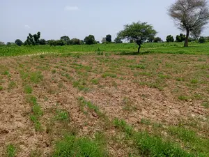 1,03 Hectare De Terre Agricole À 800 M De Tassette - Thiès