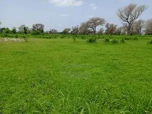 1,03 Hectare De Terre Agricole À 800 M De Tassette - Thiès