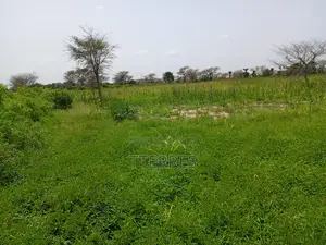 1,03 Hectare De Terre Agricole À 800 M De Tassette - Thiès