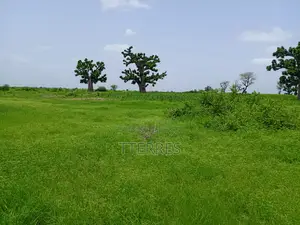 3,04 Hectares Vers Guélor De Tassette - Thies