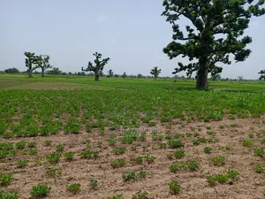 3,04 Hectares Vers Guélor De Tassette - Thies