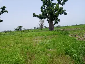 3,04 Hectares Vers Guélor De Tassette - Thies
