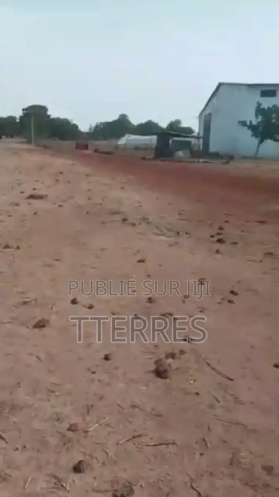 Terrain De 18 Hectares À 300 M De Thiadiaye - Mbour