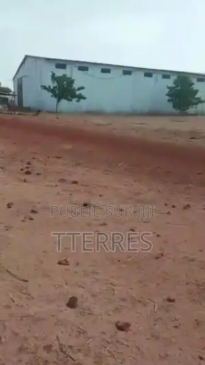 Terrain De 18 Hectares À 300 M De Thiadiaye - Mbour