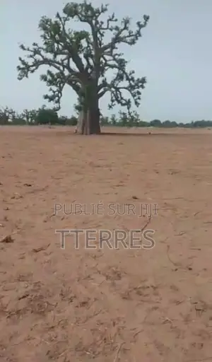 Terrain De 18 Hectares À 300 M De Thiadiaye - Mbour