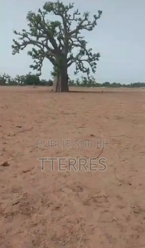 Terrain De 18 Hectares À 300 M De Thiadiaye - Mbour