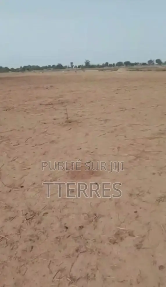 Terrain De 18 Hectares À 300 M De Thiadiaye - Mbour
