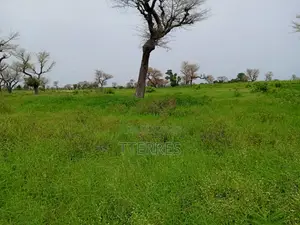 2,18 Hectares De Terre Agricole Vers Ndiaganiao - Mbour