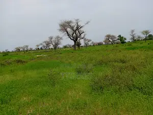 2,18 Hectares De Terre Agricole Vers Ndiaganiao - Mbour