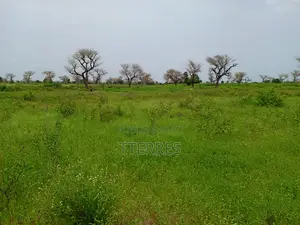 2,18 Hectares De Terre Agricole Vers Ndiaganiao - Mbour