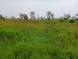 2,18 Hectares De Terre Agricole Vers Ndiaganiao - Mbour