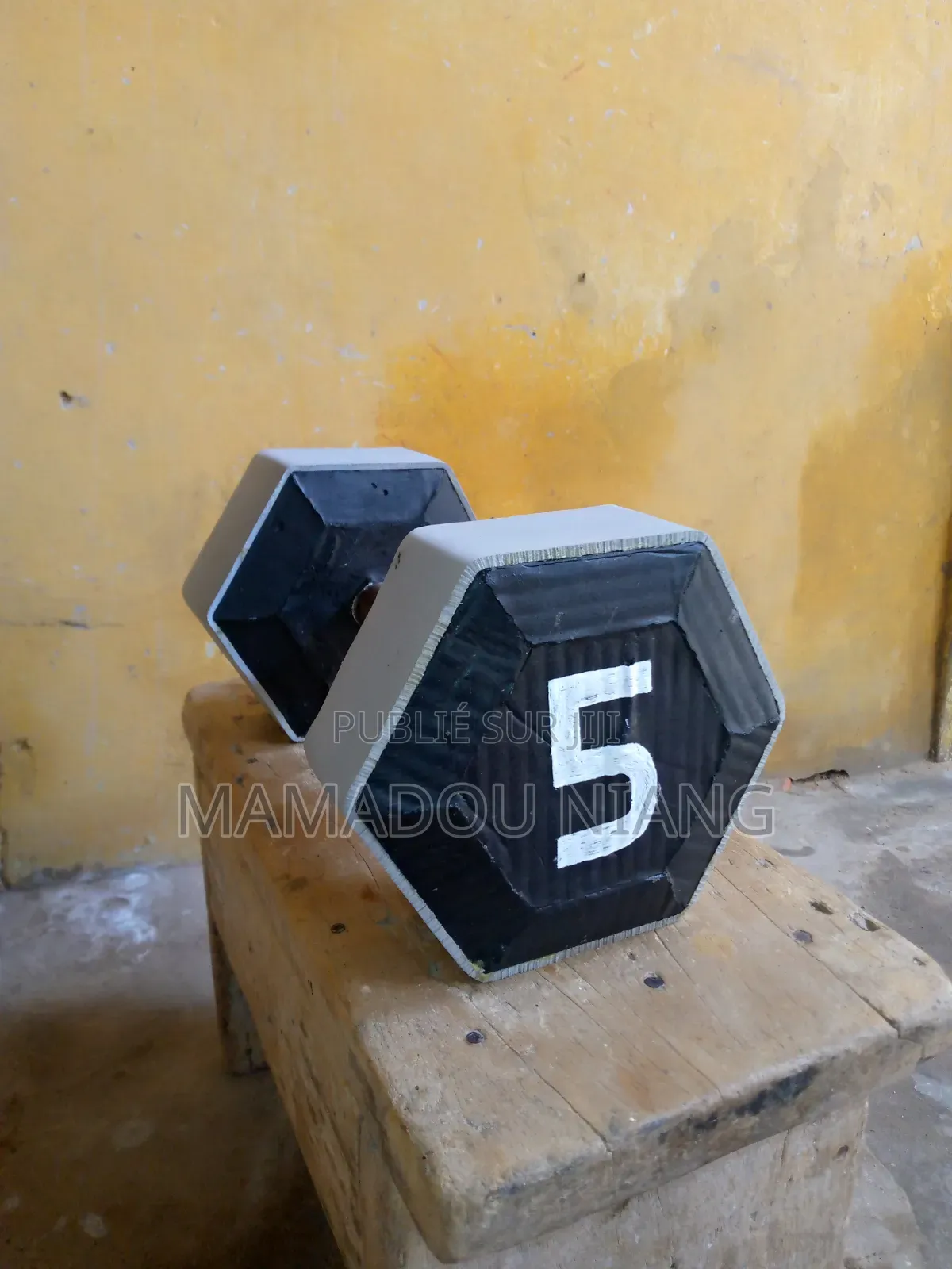 Haltères 5 Kg Ultra Résistant