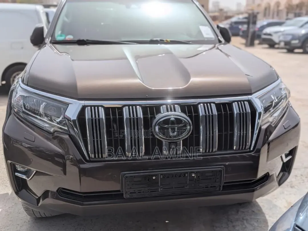 Toyota Land Cruiser Prado 2019 Marron