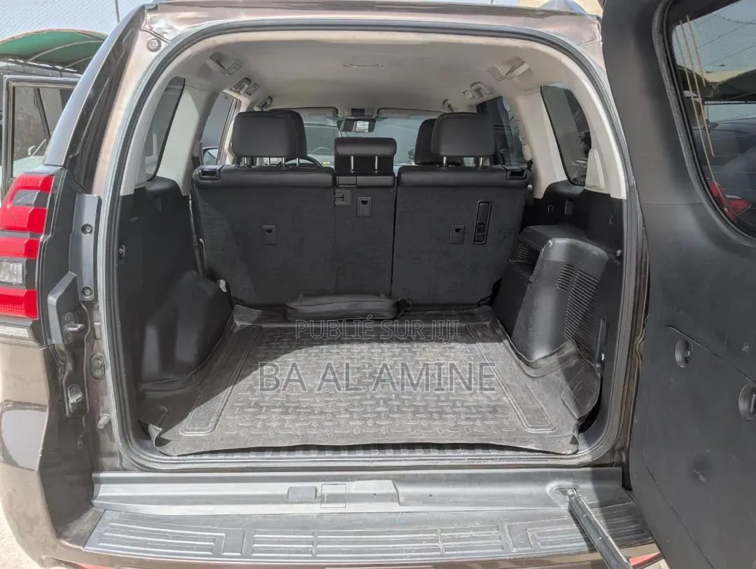 Toyota Land Cruiser Prado 2019 Marron