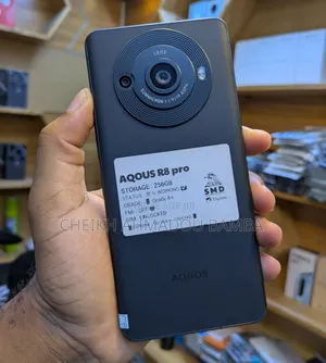 Nouveau Sharp Aquos R8s pro 256 GB Gris