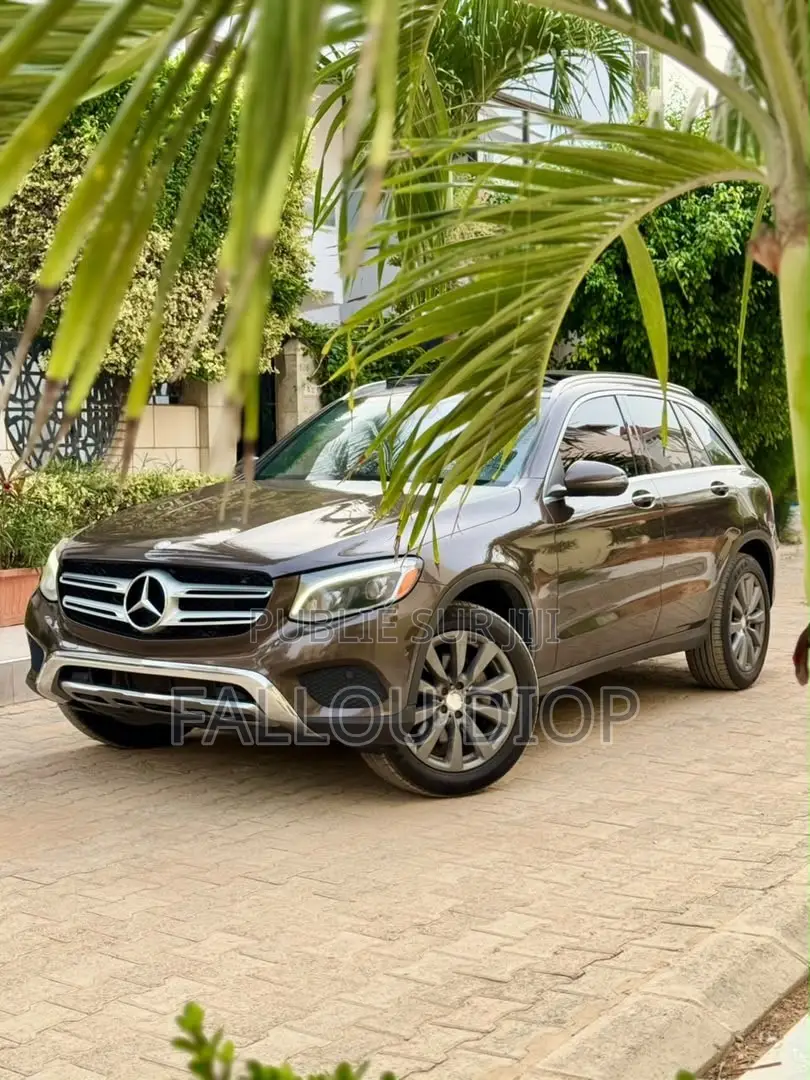 Mercedes-Benz GLC-Class 2017 Gris