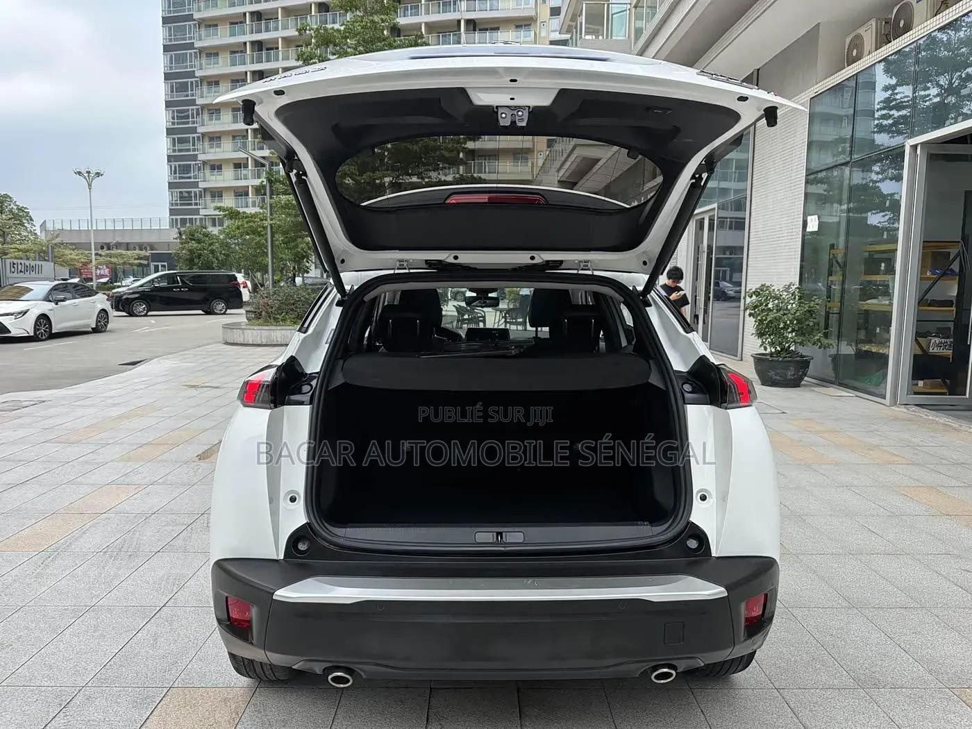 Peugeot 2008 2022 Blanc