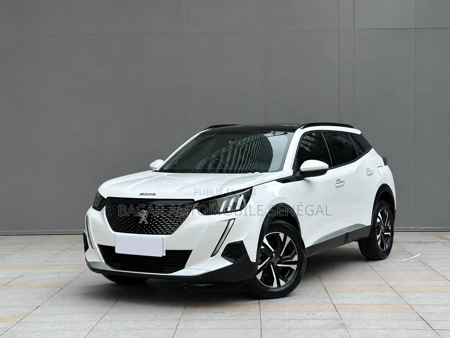 Peugeot 2008 2022 Blanc