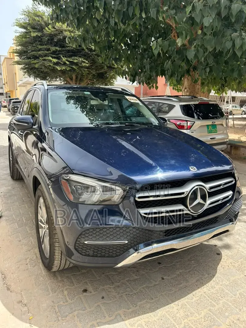 Mercedes-Benz GLE-Class 2020 Bleu