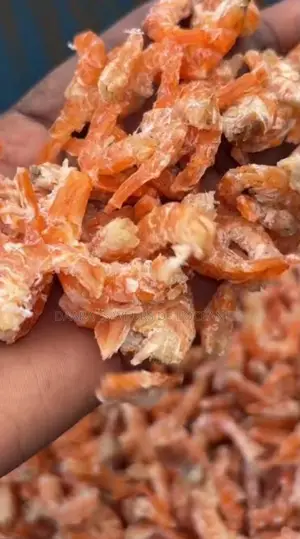 Crevettes Séchés