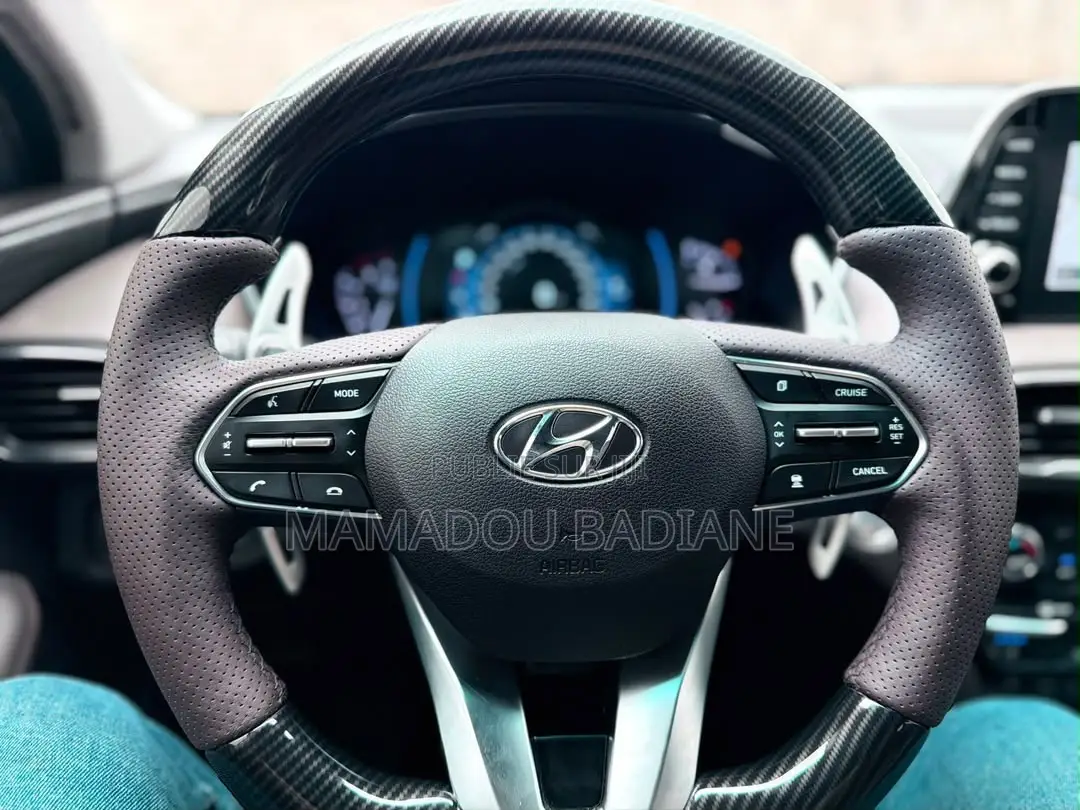 Hyundai Santa Fe 2019 Gris