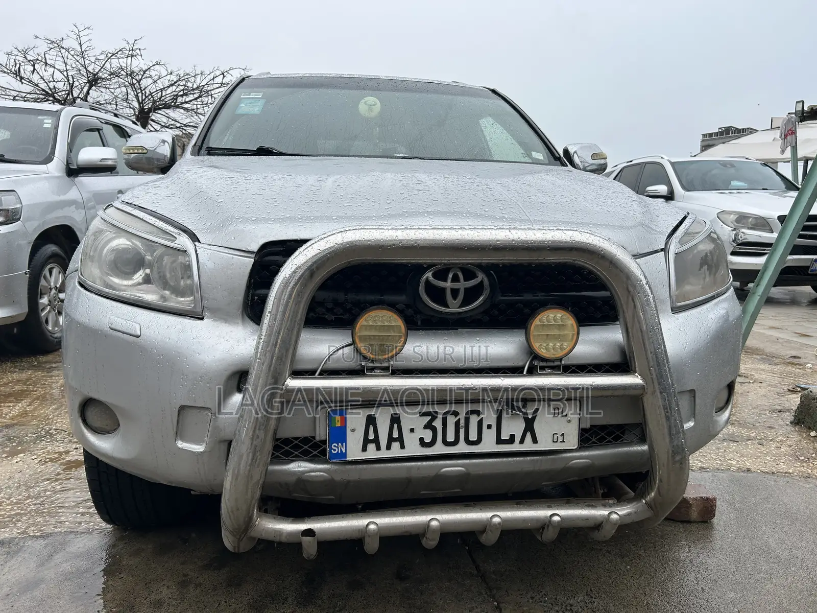 Toyota RAV4 2.0 D-4D 4x4 2007 Gris