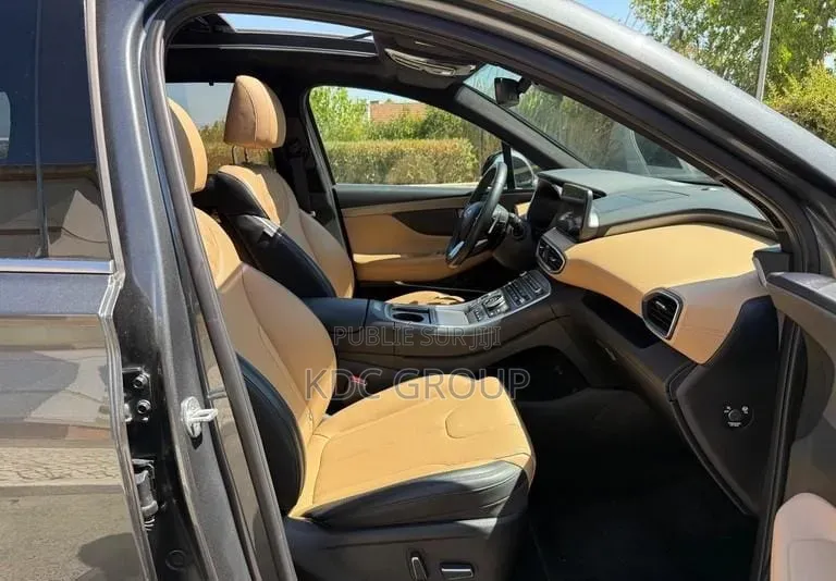 Hyundai Santa Fe 2022 Gris