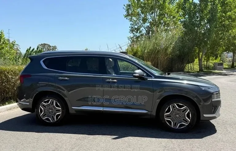 Hyundai Santa Fe 2022 Gris