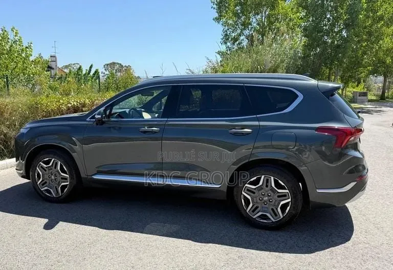 Hyundai Santa Fe 2022 Gris