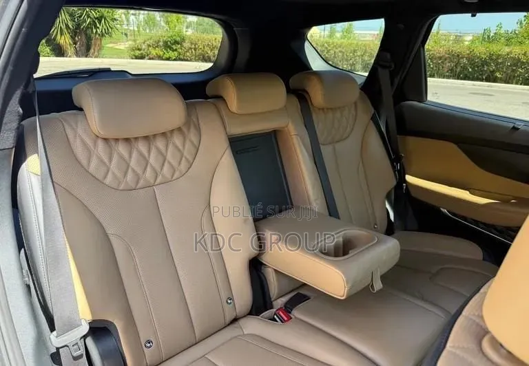 Hyundai Santa Fe 2022 Gris