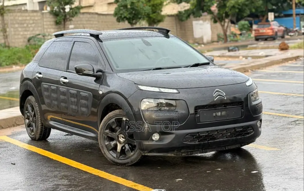 Citroen C4 2017 Gris