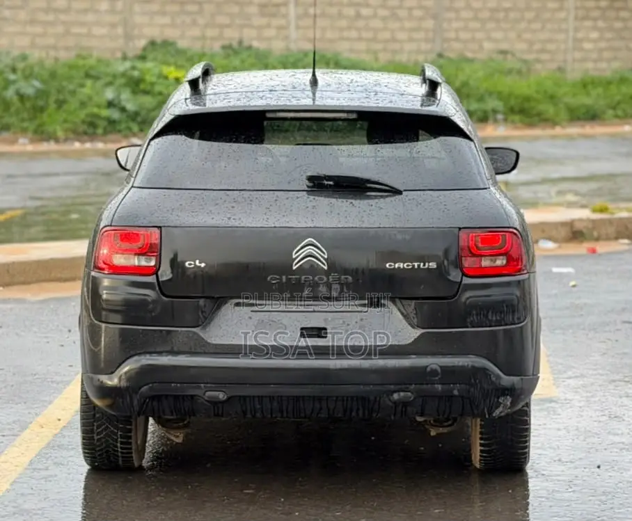 Citroen C4 2017 Gris
