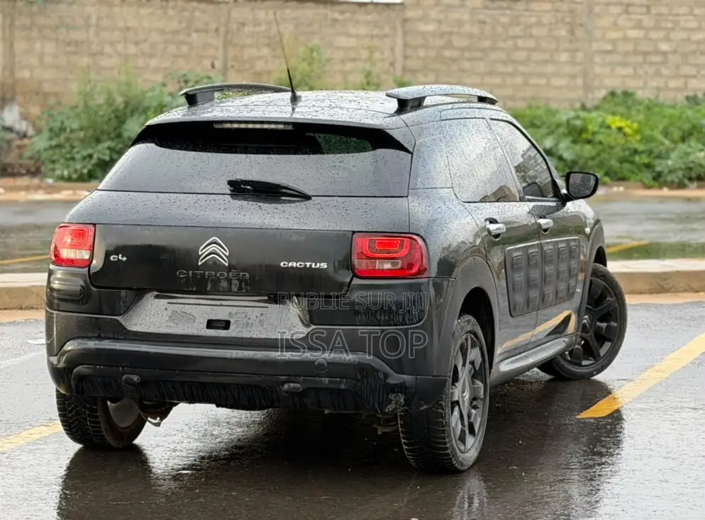 Citroen C4 2017 Gris