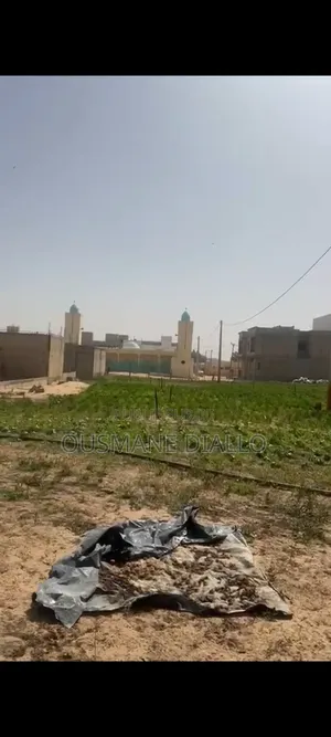 Terrain À Vendre Ndiakhirate Après Keur Massar