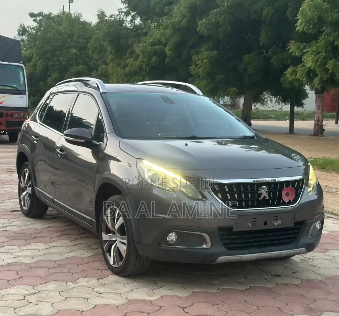 Peugeot 2008 2016 Gris